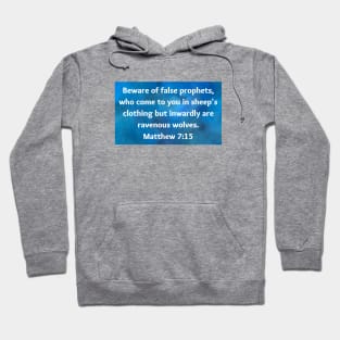 Bible Verse Matthew 7:15 Hoodie